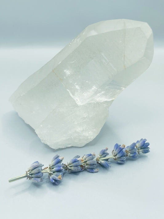 Lemurian Quartz Crystal - Rya