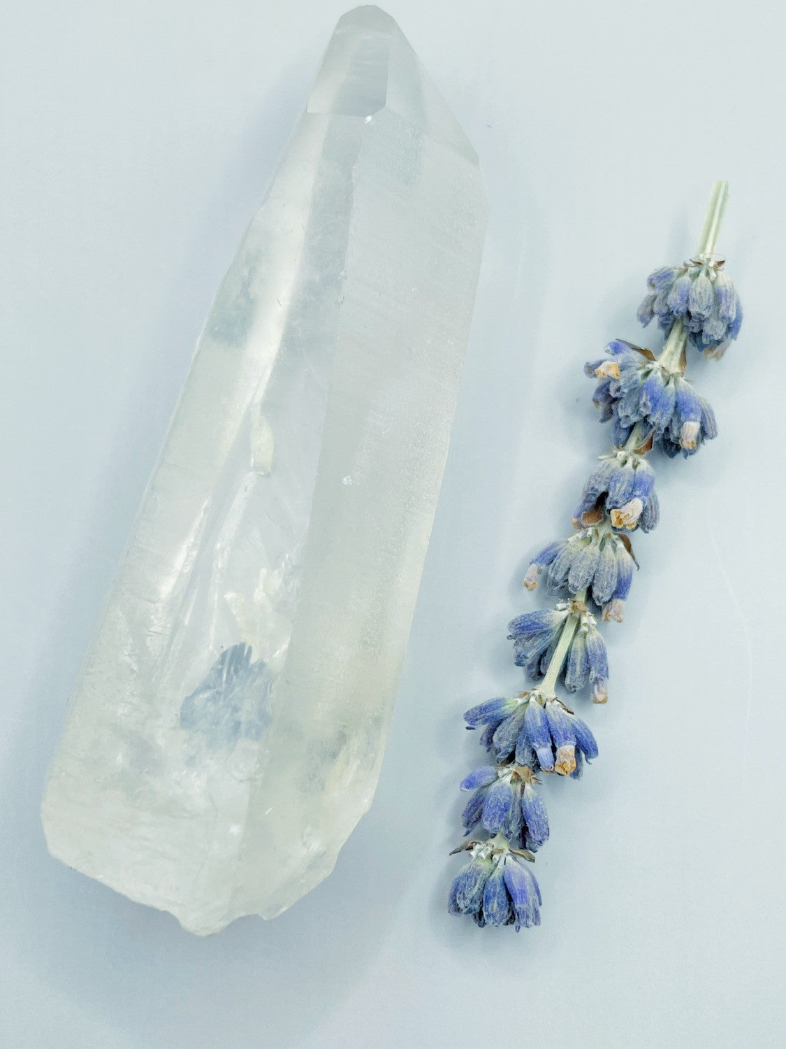 Lemurian Quartz Crystal - Thela 