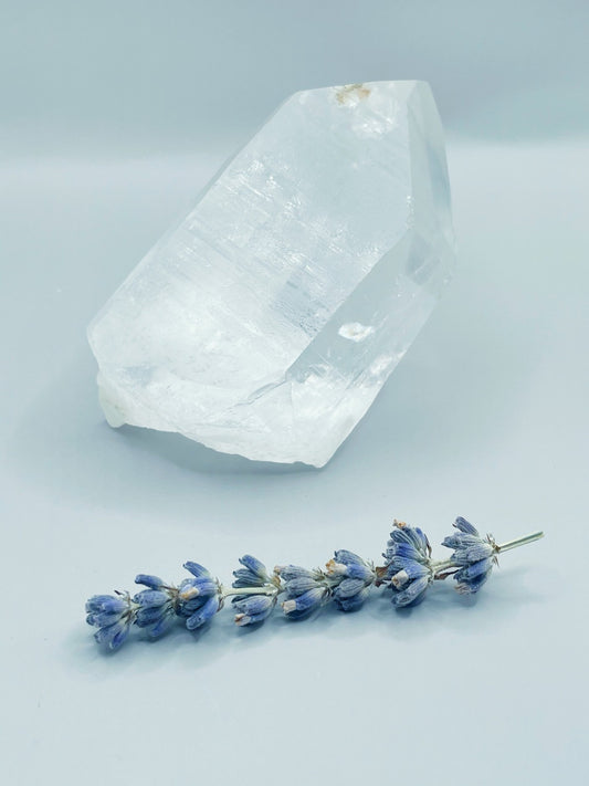 Lemurian Quartz Crystal - Agatha
